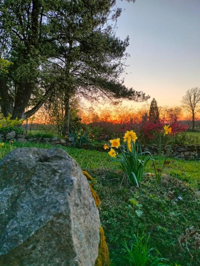 Gite Au Gre Du Vent - 12 Personnes - Calme, Nature Et Confort La Goutelle ภายนอก รูปภาพ